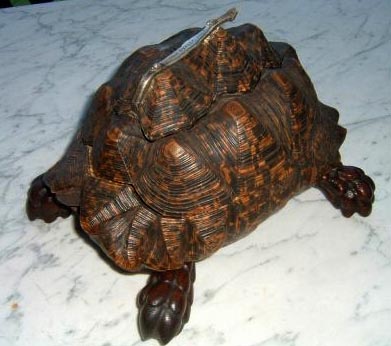 tortoise[1]rw.JPG